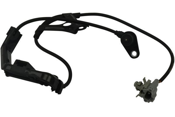 KAVO PARTS Andur, rattapöörete arv BAS-9007